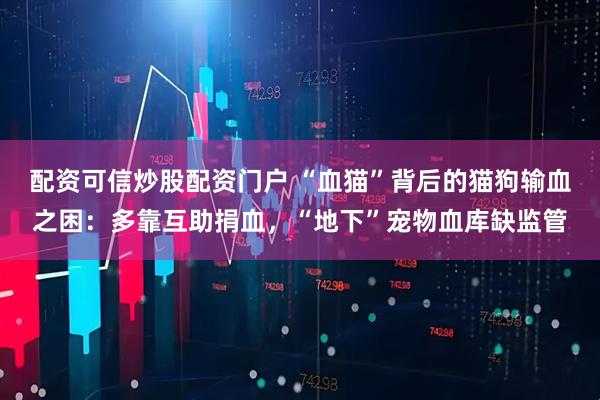 配资可信炒股配资门户 “血猫”背后的猫狗输血之困：多靠互助捐血，“地下”宠物血库缺监管
