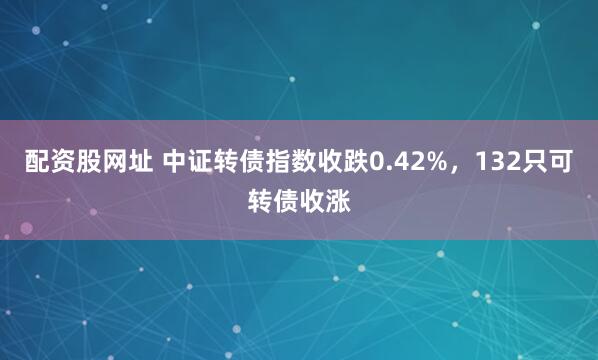 配资股网址 中证转债指数收跌0.42%，132只可转债收涨