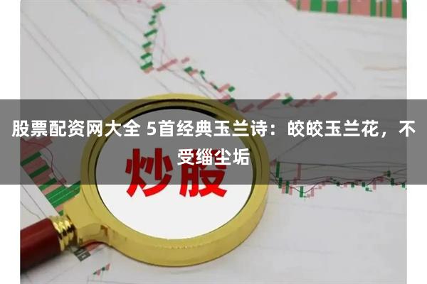 股票配资网大全 5首经典玉兰诗：皎皎玉兰花，不受缁尘垢